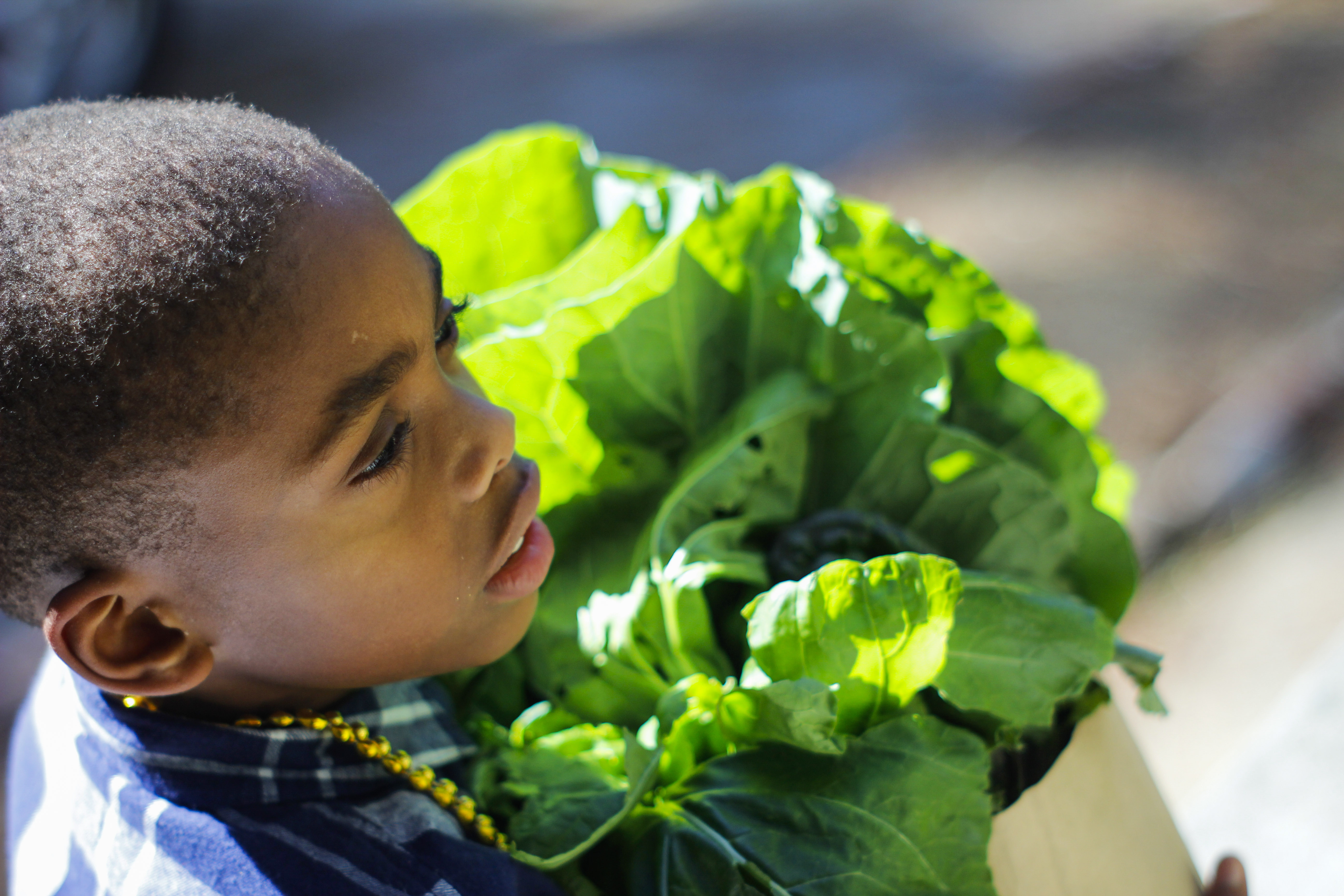 Pick up on Saturdays from 10am-2pm at the Grenada Street Folk Garden! Best greens in town!